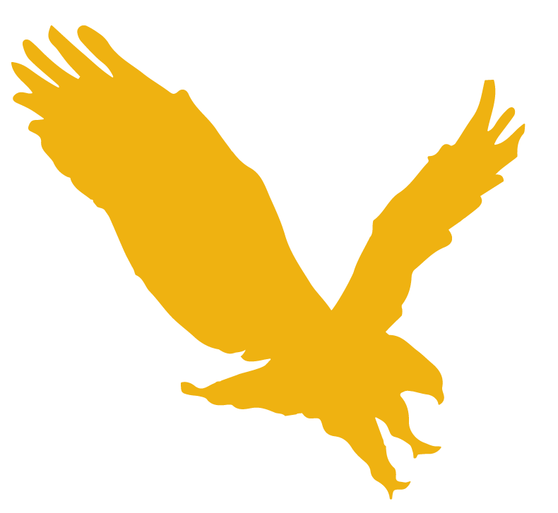 The Business Source logo - a flying eagle